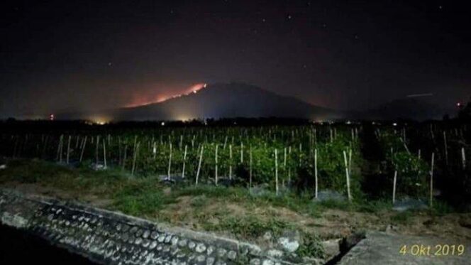 
Sumber foto: istimewa / google