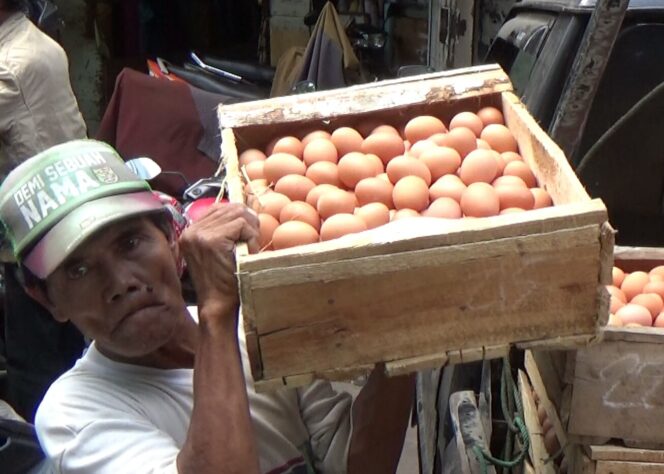
Santer Isu Telur Terpapar Dioksin, Pedagang Telur di Kota Probolinggo Cemas