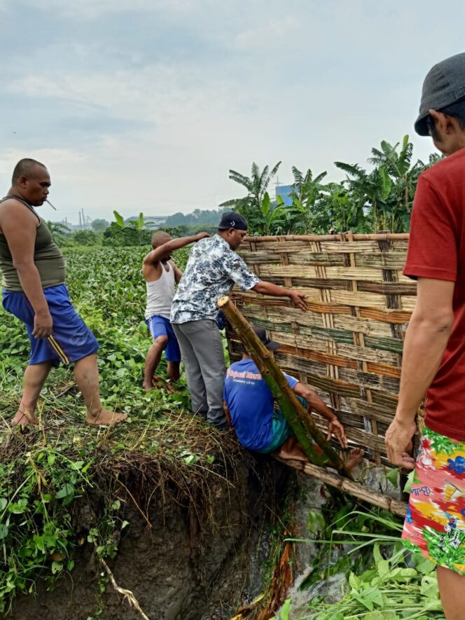 
Tanggul Sungai Wrati Jebol, Belasan Hektar Sawah Terendam Air