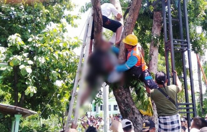 
Tebang Ranting Pohon, Pria di Pasuruan Tewas Tersengat Aliran Listrik