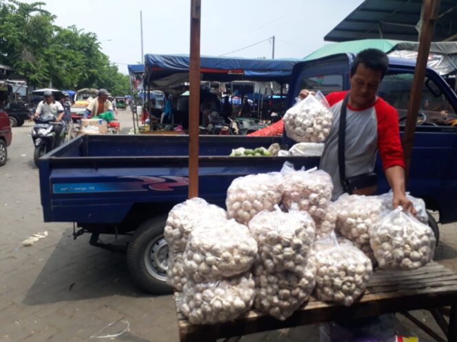 
Bawang Putih Langka, Pedagang Alami Inflasi