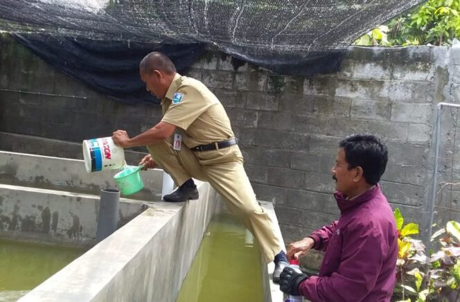 
Diskan Probolinggo Berikan Pembinaan Bagi Pembudidaya Lele