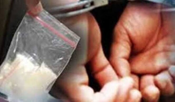 
Gerebek Pesta Sabu di Pasuruan, Polda Jatim Amankan 1 Pelaku dan 103 Gram Sabu-sabu