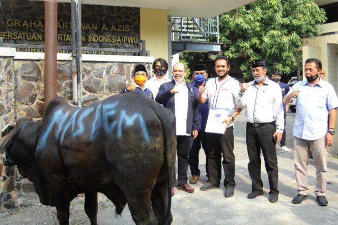 
Idul Adha, DPW Nasdem Jatim Serahkan Tiga Ekor Sapi Kurban ke Organisasi Media