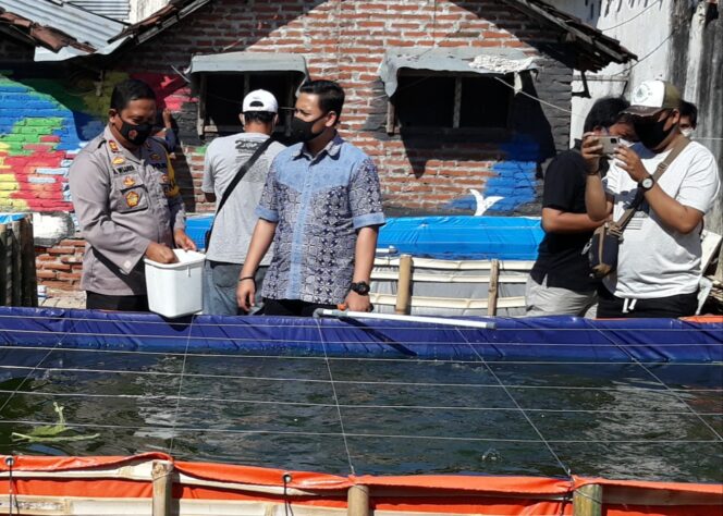 
Dukung Program Ketahanan Pangan, Jurnalis Probolinggo Kota Tebar Ribuan Benih Ikan