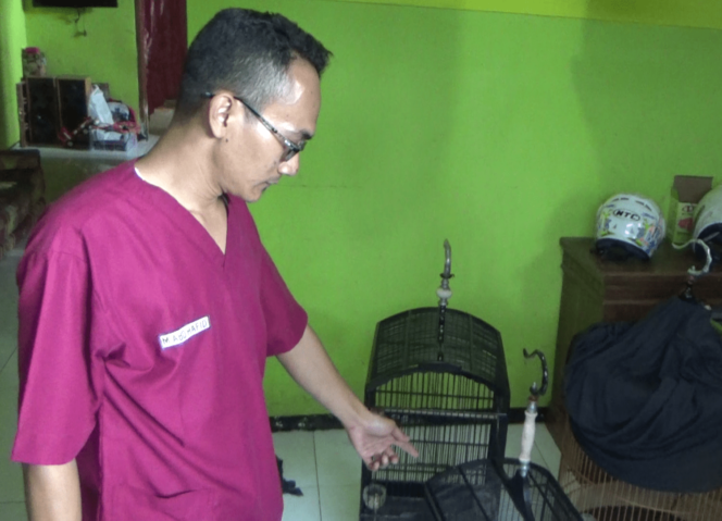 
Pencuri Gasak 4 Ekor Burung Seharga Jutaan Rupiah 