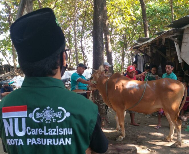 
Idul Adha, PCNU Kota Pasuruan Sembelih 4 Kambing dan 1 Sapi