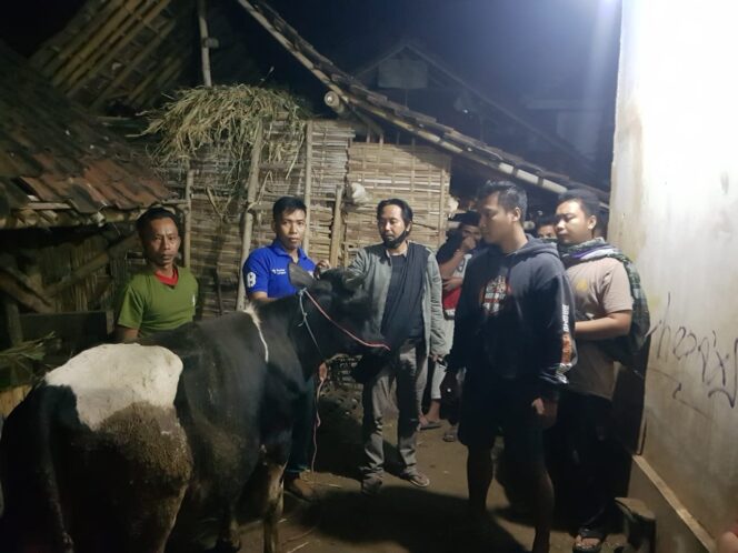 
Polsek Leces Berhasil Gagalkan Pencurian Sapi