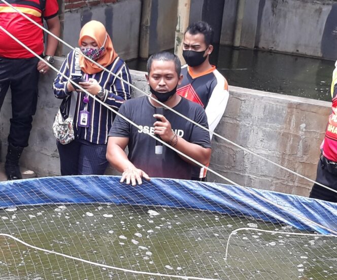 
Anggota Polres Probolinggo Kota Sukses Budidaya Lele Sistem Bioflok Omzet Belasan Juta 