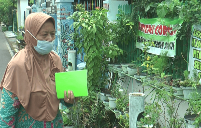 
Mengenal Kampung Toga di Kota Probolinggo, Kampung Tangguh yang Bermanfaat dan Bernilai Ekonomis Saat Pandemi 