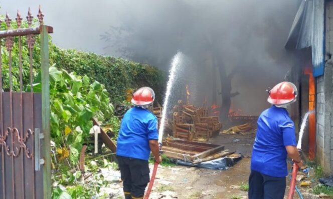 
Diduga Korsleting Listrik, Gudang Mebel di Pasuruan Terbakar
