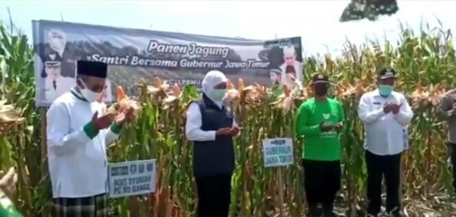 
Hadiri Panen Raya Jagung di Pasuruan, Begini yang Disampaikan Gubernur Khofifah