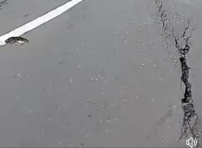
Waspada! Jalan Payung Batu Retak
