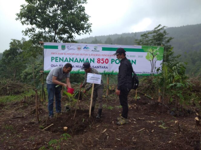 
Empat Perusahaan di Kabupaten Pasuruan Gandeng Yayasan Cempaka Tanam 5.100 Pohon di Gunung Ringgit