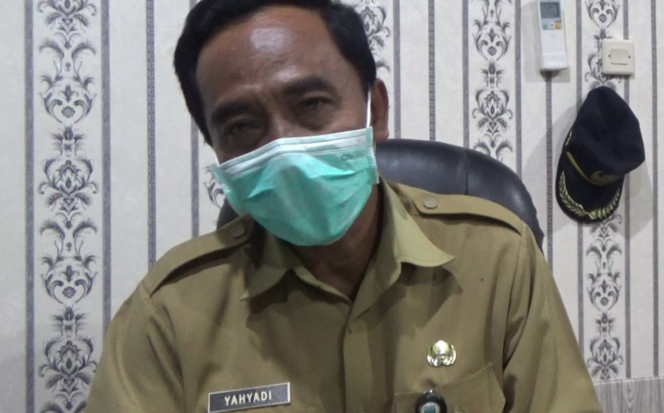 
Fenomena Anak Sapi Berkepala Dua Bulu Miriponta di Probolinggo, Berikut Penjelasanya