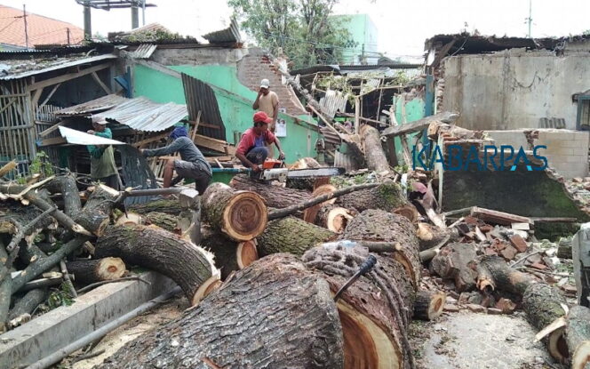 
Pohon Besar Tumbang,  5 Kios di Pasar Ranggeh Pasuruan Ambruk