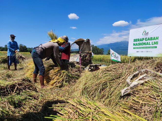 
Cerita Petani di Winongan yang Kerapkali Sempat Gagal Panen Gara-gara Terganjal Modal