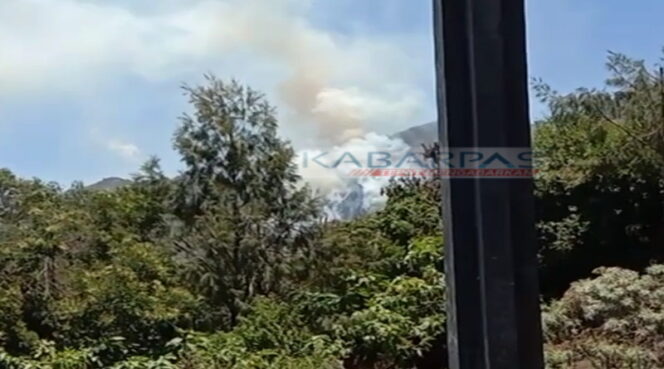 
Terjadi Kebakaran Hutan di Kawasan Bromo