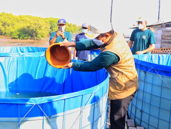 
Wakil Wali Kota Pasuruan Tinjau Tebar Bibit Lele dan Panen Bandeng Jelak