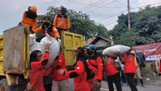 
Berbeda dengan yang Lain, Pramuka Jatim Bantu Pakan Ternak dan Dokter Hewan di Erupsi Semeru