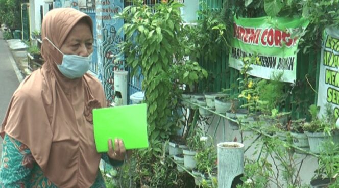 
Melihat Lebih Dekat Kampung Toga di Kota Probolinggo Saat Pandemi Covid-19 Masih Melanda