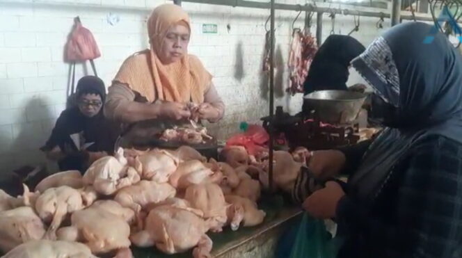 
Harga Ayam Potong Merangkak Naik dari Rp 31 Ribu menjadi Rp 40 Ribu per Kilo