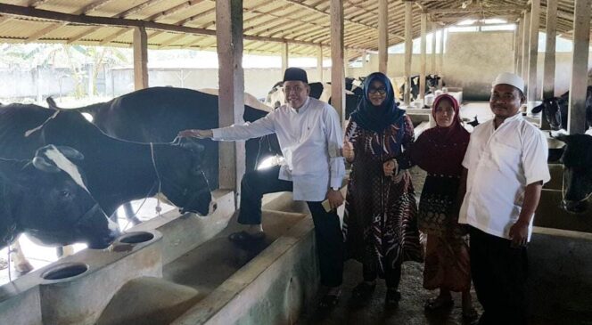 
Dampak Wabah PMK, Pasokan Susu Sapi di Pasuruan Anjlok