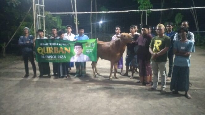
Faisol Riza Sebarkan 90 Ekor Sapi Kurban di Pasuruan dan Probolinggo