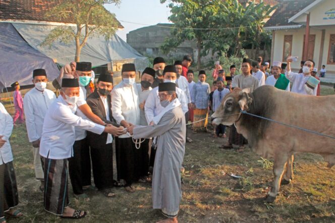 
Pemkot Pasuruan Serahkan 110 Hewan Kurban