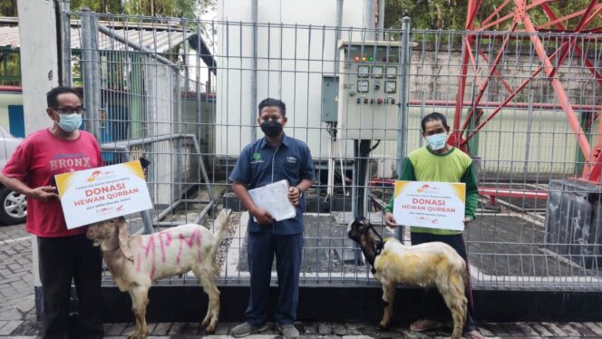 
MPM Honda Jatim Salurkan Puluhan Hewan Qurban di 6 Kota Jawa Timur