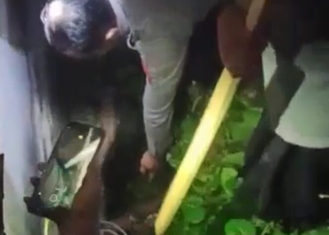 
Maling Motor di Pasuruan Dimassa Usai Bersembunyi di Semak-semak