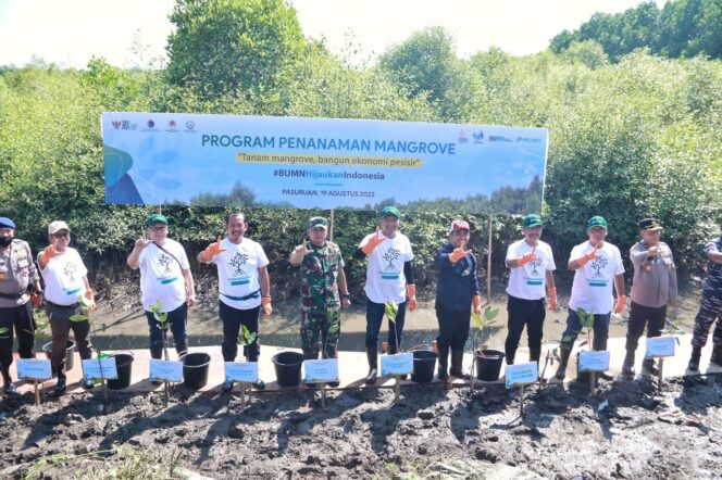 
Pemkot Pasuruan Kembangkan Potensi Wisata Pesisir Melalui Program Tanam Mangrove