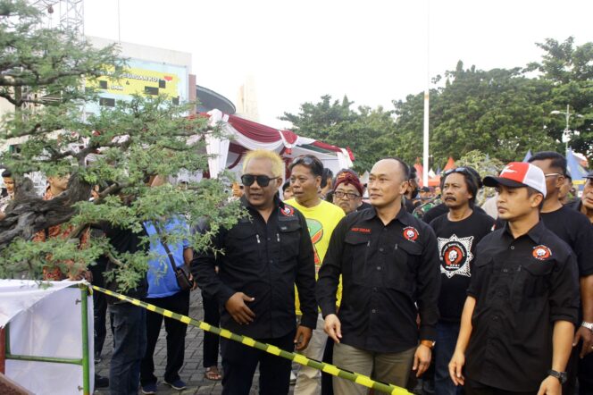 
Pemkot Pasuruan Gelar Pekan Raya Bonsai Tingkat Nasional