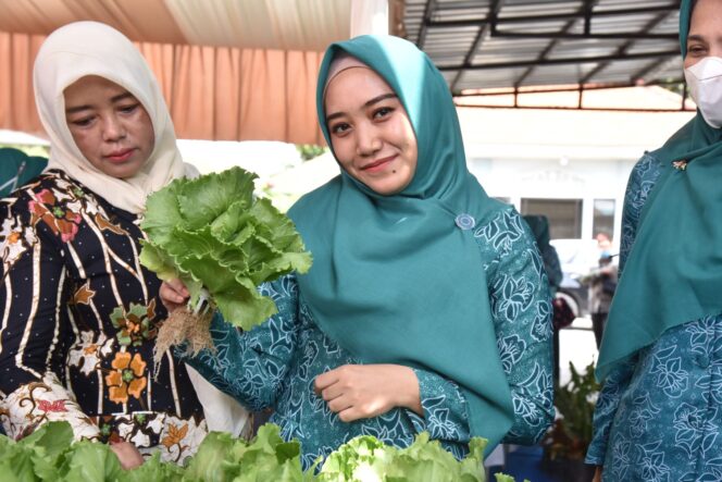 
140 Anggota PKK Mengikuti Pelatihan Bercocok Tanam Hidroponik