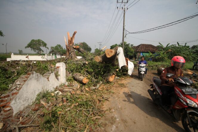 
Puting Beliung Terjang Wilayah Sidoarjo, Puluhan Rumah Warga Rusak