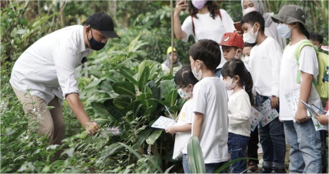 
Tingkatkan Edukasi Masyarakat, MNR Hadirkan Ragam Inovasi di 4 Kebun Raya