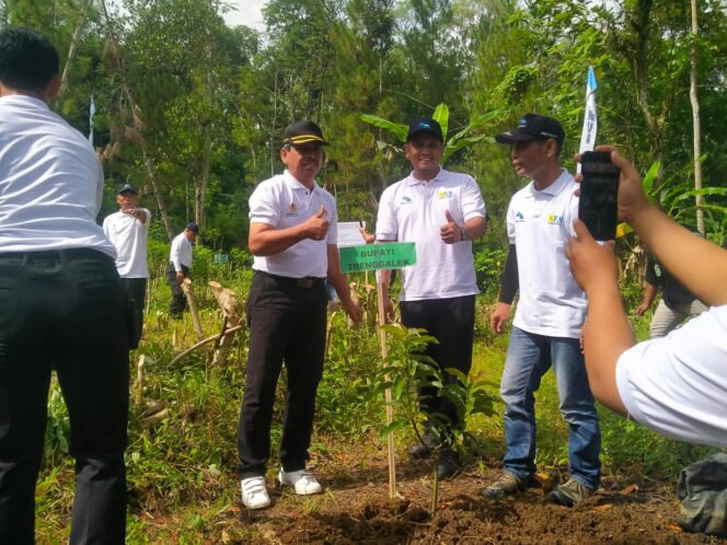 
Peringati Hari Air Sedunia, Pemkab Trenggalek Gelar Aksi Tanam 50 Ribu Bibit Pohon