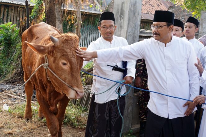 
Idul Adha, Pemkot Pasuruan Kurban 6 Sapi dan Puluhan Kambing