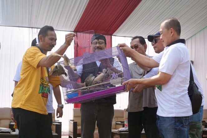
Lomba Burung Berkicau Walikota Cup Kembali Digelar, Pestanya Kicau Mania Pasuruan