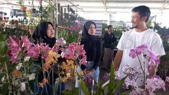 
Pasuruan Orchids Festival 2023, Ada Bunga Anggrek Seharga Motor Sport