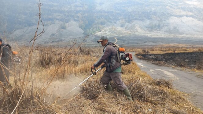 
Pasca Kebakaran Bromo, Warga Tengger Kerja Bhakti Bersihkan Rumput Kering