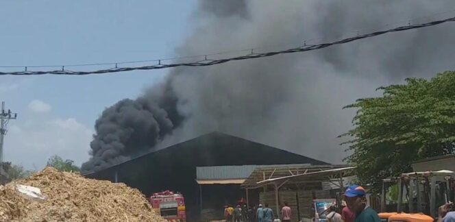 
Pabrik Serbuk Kayu di Pasuruan Terbakar, Panikkan Warga Sekitar