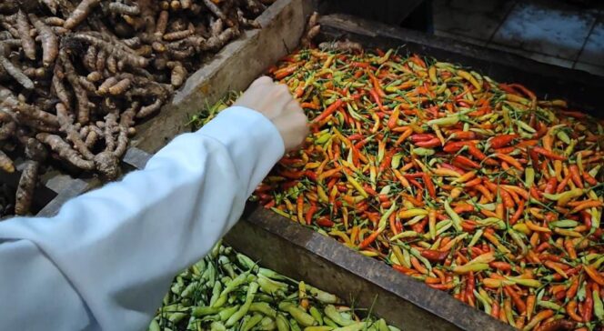 
Waduh! Harga Cabai Rawit Seharga Daging Sapi