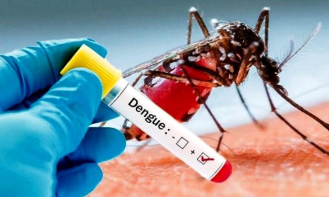 
Kasus DBD Kota Blitar Melonjak, Permintaan Darah di PMI Meningkat