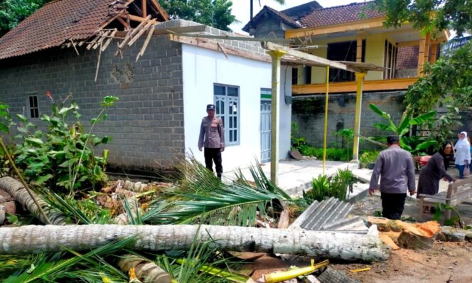 
Akibat Dilanda Angin Kencang, Pohon Tumbang di Blitar Timpa Rumah dan Jalan Raya