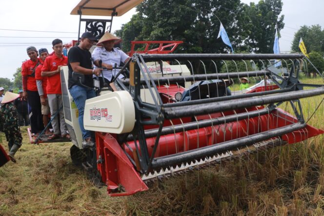 
Kendalikan Inflasi, Pemkab Probolinggo Lakukan Panen Raya Padi