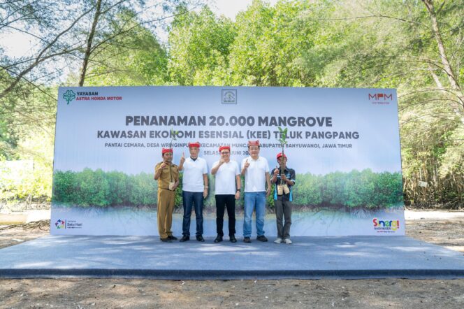 
Yayasan AHM dan MPM Honda Jatim Tanam Puluhan Ribu Mangrove di Banyuwangi