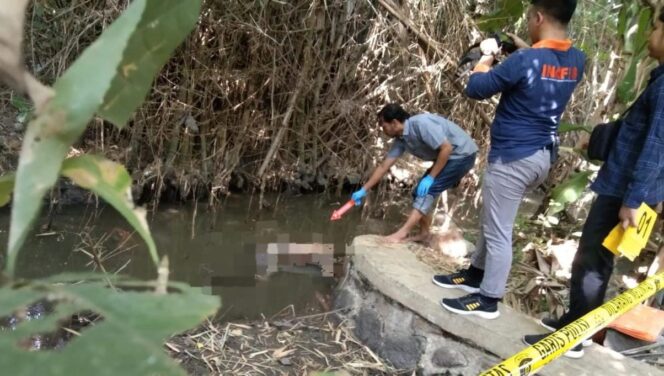 
Breaking News, Mayat Pria Ditemukan Mengambang di Parit Tambakrejo Pasuruan