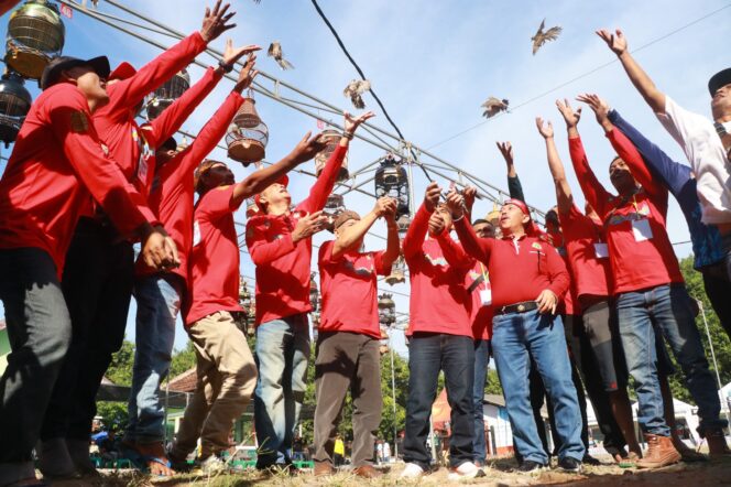 
Peringati Harkopnas ke-77, DKUPP Gelar Lomba Gacoran Perkutut Lokal Piala Bupati Probolinggo