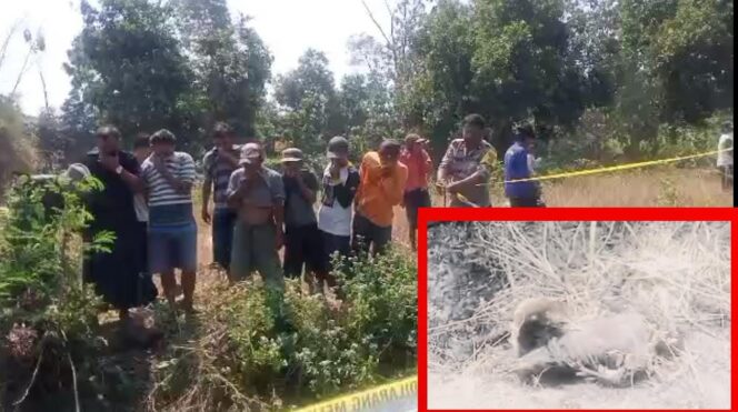 
Warga Nguling Digegerkan Penemuan Mayat Terbakar di Area Persawahan 